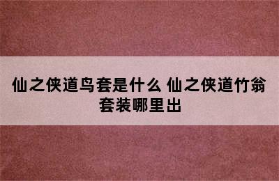 仙之侠道鸟套是什么 仙之侠道竹翁套装哪里出